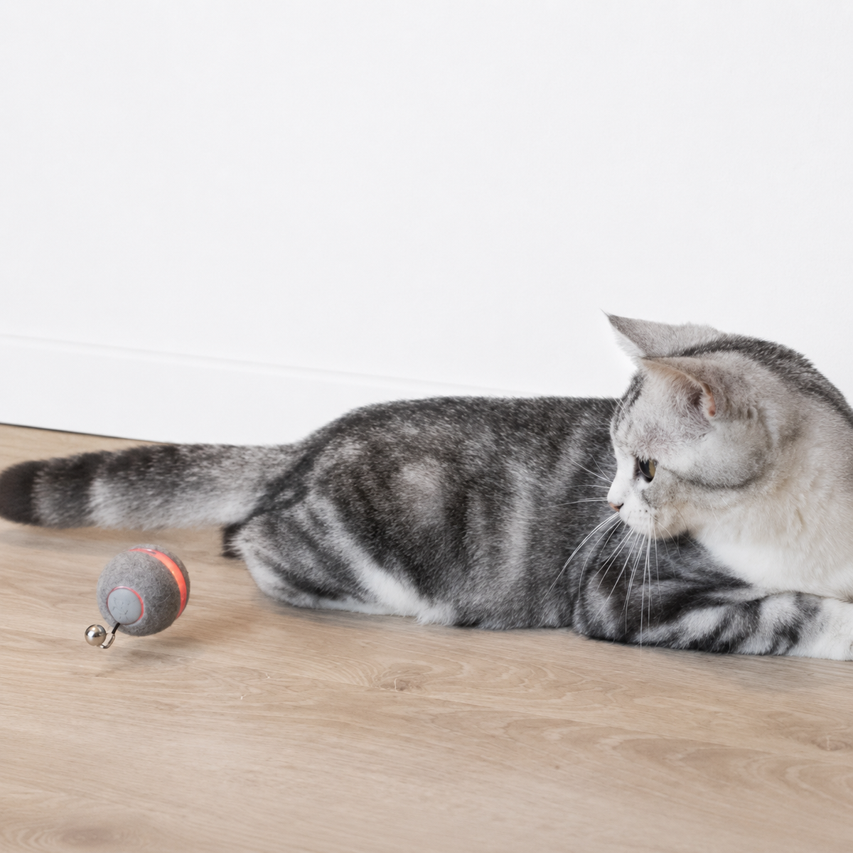Leo's  Smart Motion Ball