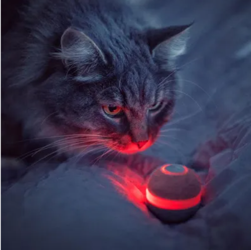 Leo's  Smart Motion Ball