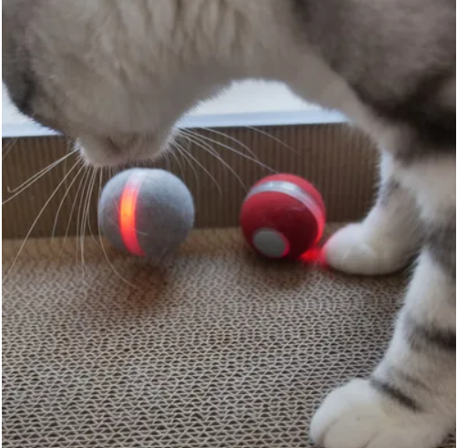 Leo's  Smart Motion Ball