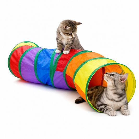 Toby's Rainbow Tunnel
